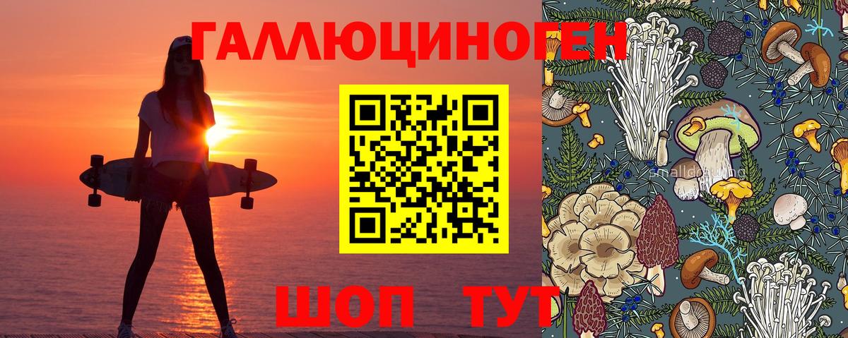 Избербаш  Галлюциногенные грибы Psilocybine cubensis  Вход с VPN 
