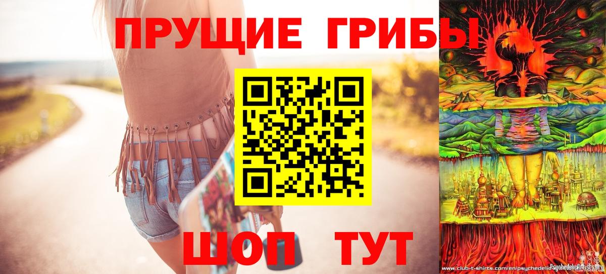 Галлюциногенные грибы Psilocybe Избербаш